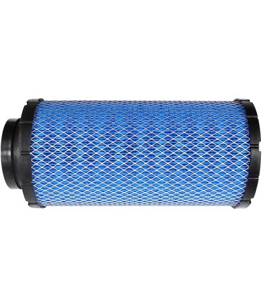 Polaris OEM Air Filter